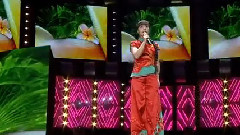 山丹丹花开红艳艳