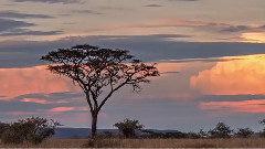 玻利维亚和智利 (Your Smile)