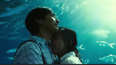 致青春 电影《致我们终将逝去的青春》主题曲