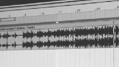 灿烈ins更新 Logo Song尝鲜