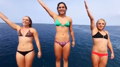 Panic Is Perfect - Go Go Go