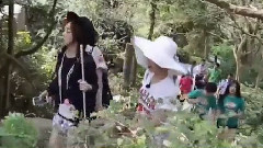 猴子对头发的草芽,赞美