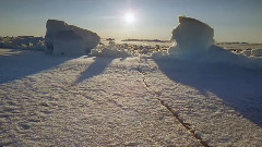 I Will Always Love You