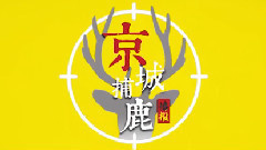 京城捕鹿播报