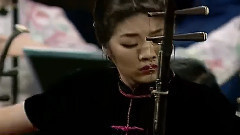 民乐群星 - 二泉映月