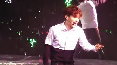 蝴蝶少女 演唱会现场合辑