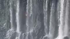 Bernward Koch,音乐短片 - Cataratas de Iguazú - Flight Being