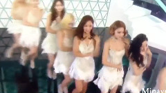 Lion Heart 消音现场版