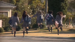 桜の花びらたち2008 (樱花的花瓣们2008)