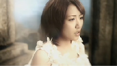 高桥南 - 破れた羽根