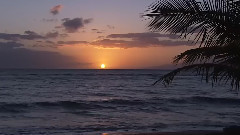 轻音乐,音乐短片 - Sea Of Love