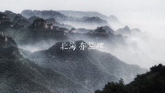 五色石南叶 - 南山南