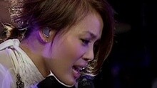 乌贼 很忙Moov Live 2009演唱会 现场版