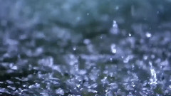 <大自然在说话> 预告片 周迅粤语配音版