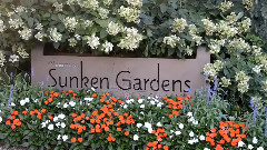 采桑小路(笛子版)