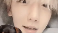 伯贤更新INS视频一则