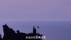 把悲伤留给自己