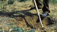 The People Under The Stairs