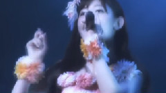 Fruit Basket水果篮子