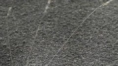 另一个世界 Another World 风景版