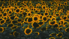 Reise (Ich war hier)