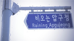 徐英恩 - 下雨的狎鸥亭