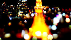 幹物女(WeiWei)(东京塔子)