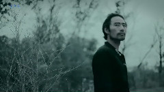 如果我只是一棵小草