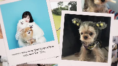 地球与月亮和我