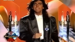 You're My Heart, You're My Soul & Cheri Cheri Lady