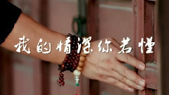 我的情深你若懂