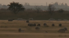 Raw footage for one day on earth