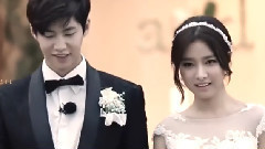 精灵夫妇FMV 婚礼周年纪念