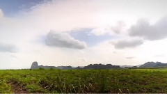 缘圆沿延 改变 The CirCle Changes