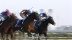 JRA あなたの競馬が走り出す.～GI編～