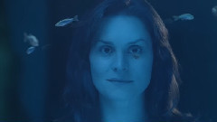 British Heart Foundation - Mending Broken Hearts Zebra Fish-HD