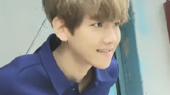 与边伯贤的一天