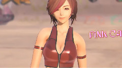 VOCALOID家族 - PiNK CAT