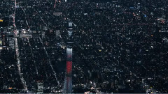 Tokyo From Above