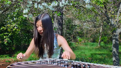 民乐群星 - The Butterfly Lovers(梁祝)