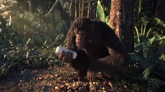 Adventure Of A Lifetime