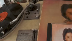 夜露(1976年香港Polydor黑胶版)