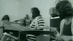 Spring, Summer,Winter & Fall