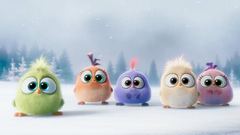 影视原声,搞笑音乐 - <愤怒的小鸟>电影特别预告