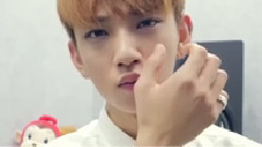 SEVENTEEN Diary - Joshua 2