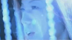 Rurutia - 迷途的蝴蝶