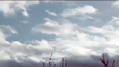 致 陈生 陈伟霆生贺