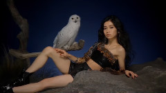 マドンナの選択