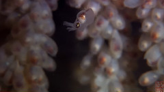 第二剪 青春无悔