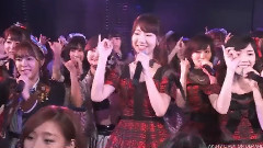 桜の花びらたち